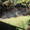 1233_Lawn_Sprinklers